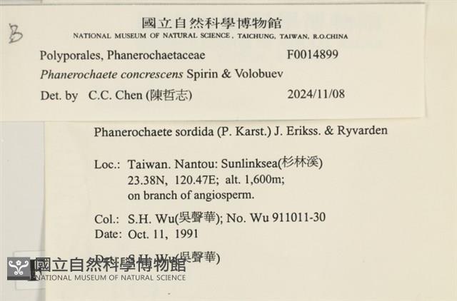 登錄號:F0014899藏品圖，第3張