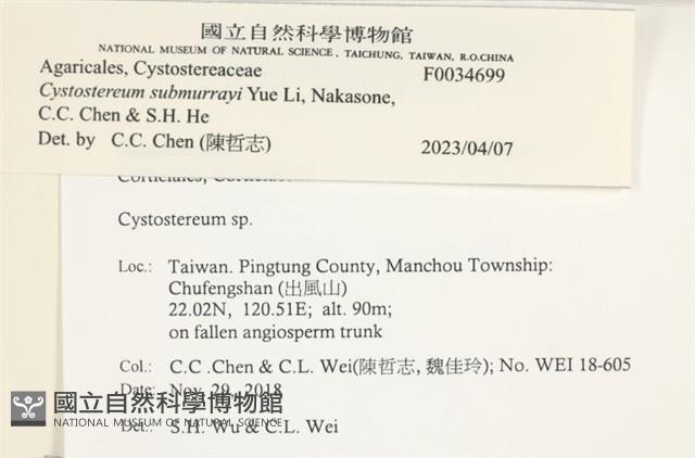 登錄號:F0034699藏品圖，第3張