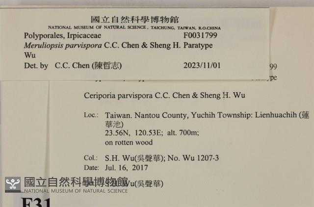 登錄號:F0031799藏品圖，第3張
