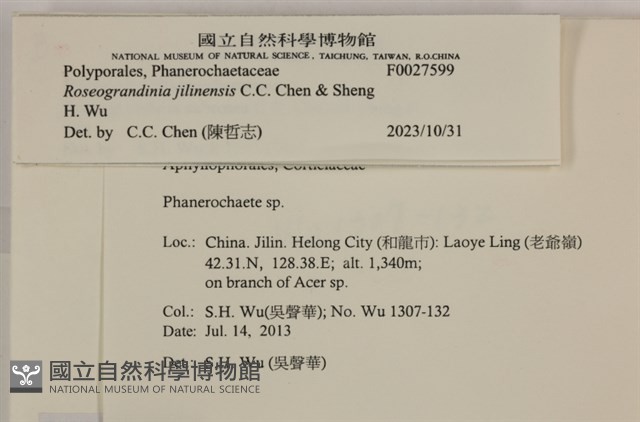 登錄號:F0027599藏品圖，第3張
