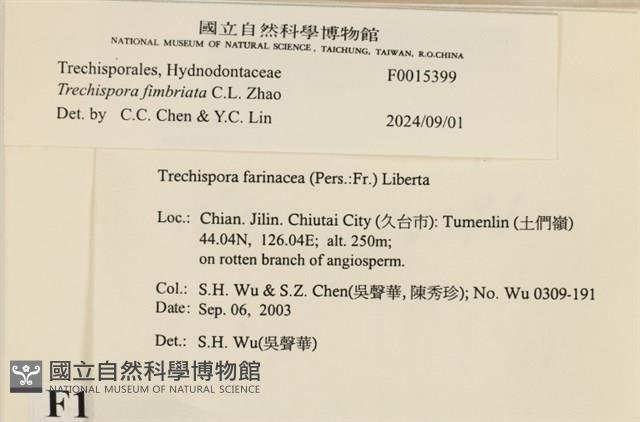 登錄號:F0015399藏品圖，第3張