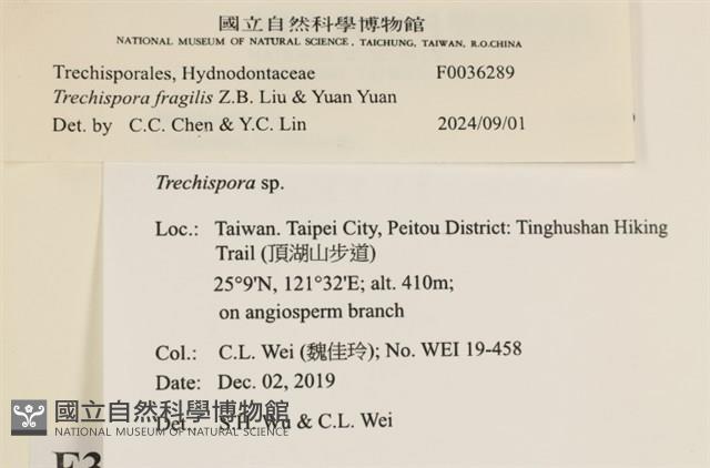 登錄號:F0036289藏品圖，第2張