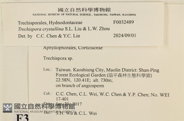 登錄號:F0032489藏品圖，第3張