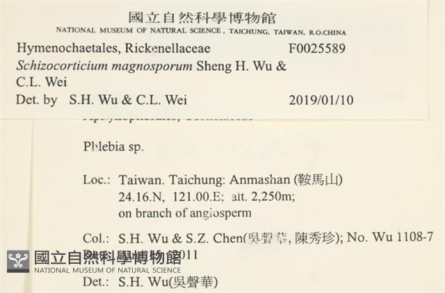 登錄號:F0025589藏品圖，第3張