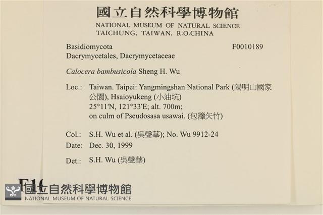登錄號:F0010189藏品圖，第3張