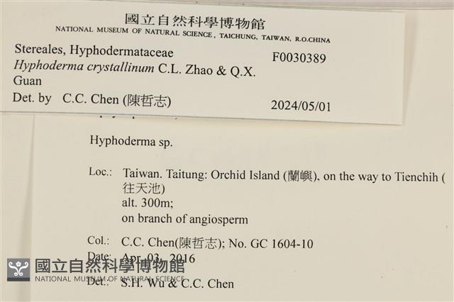 登錄號:F0030389藏品圖，第3張