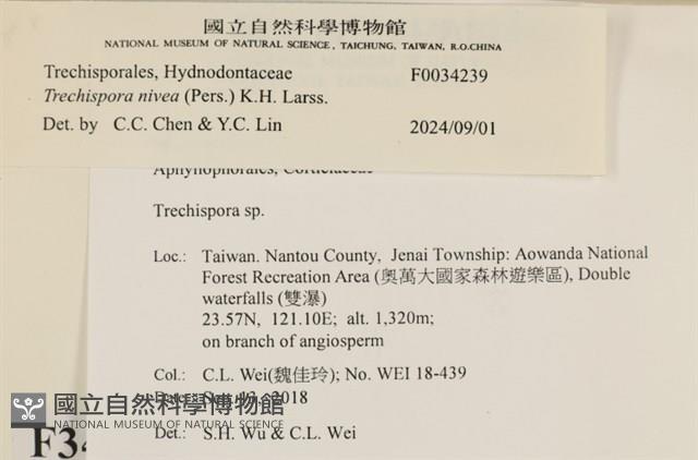 登錄號:F0034239藏品圖，第3張