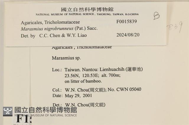 登錄號:F0015839藏品圖，第4張