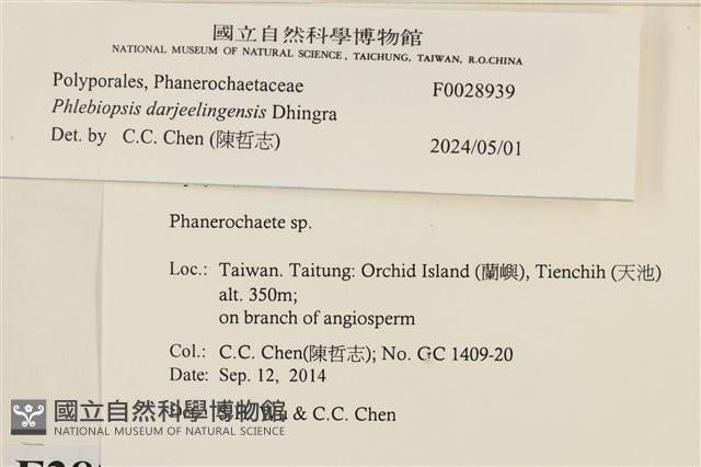 登錄號:F0028939藏品圖，第3張