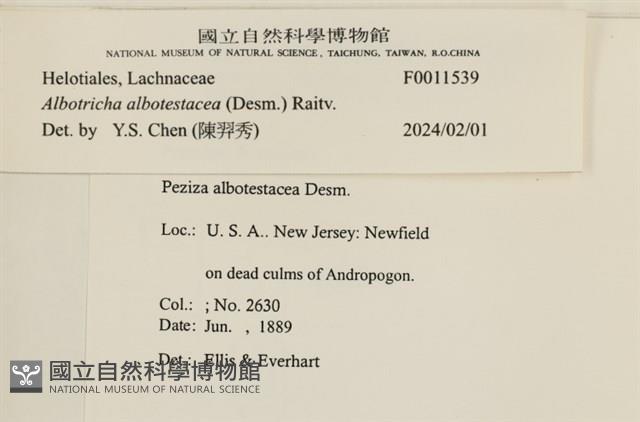 登錄號:F0011539藏品圖，第4張