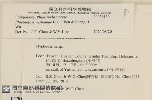 登錄號:F0028139藏品圖，第3張
