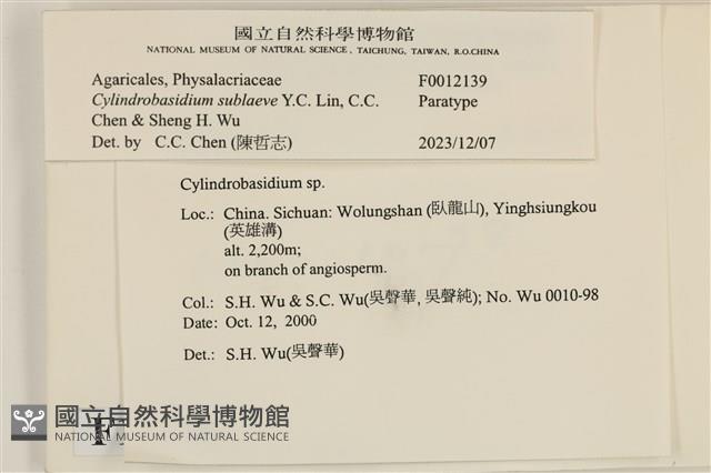 登錄號:F0012139藏品圖，第3張