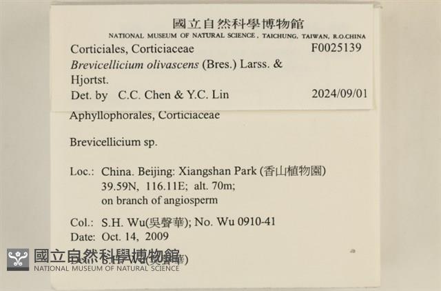 登錄號:F0025139藏品圖，第4張