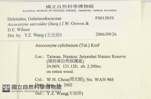 登錄號:F0015039藏品圖，第3張