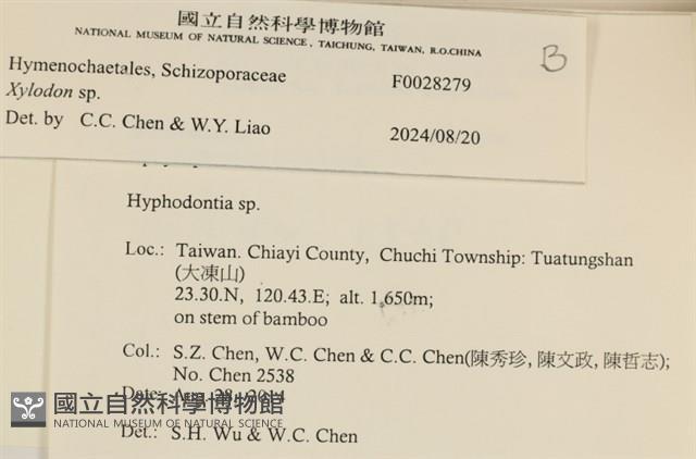 登錄號:F0028279藏品圖，第3張