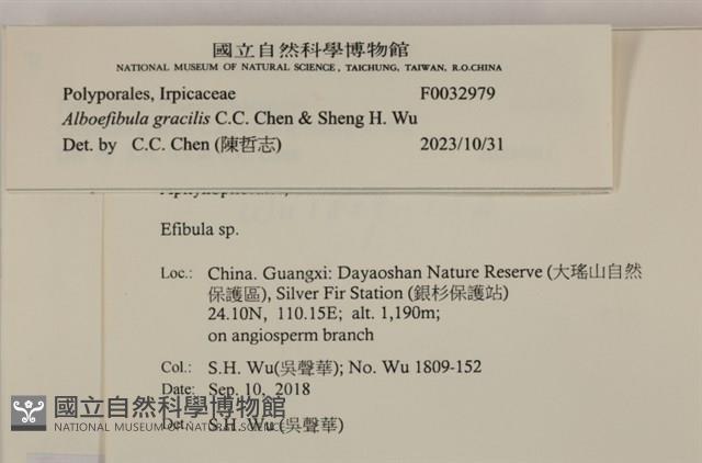 登錄號:F0032979藏品圖，第3張
