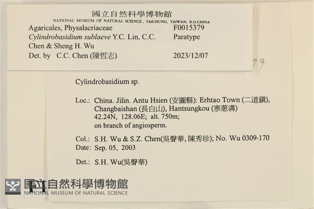 登錄號:F0015379藏品圖，第3張