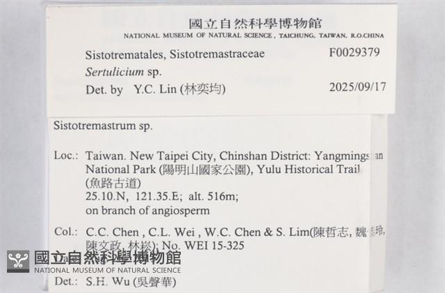 登錄號:F0029379藏品圖，第3張