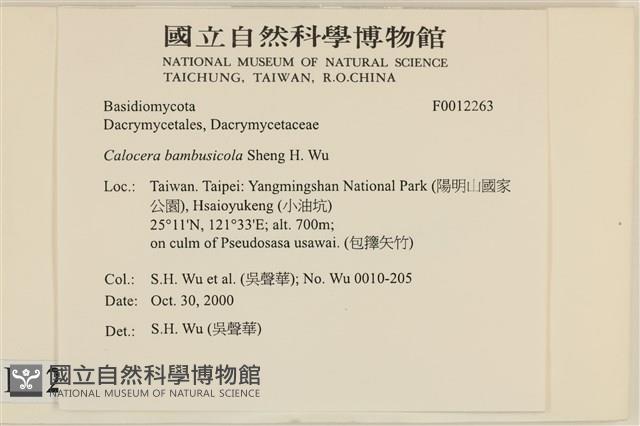 登錄號:F0012263藏品圖，第3張