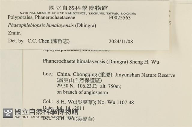 登錄號:F0025563藏品圖，第4張