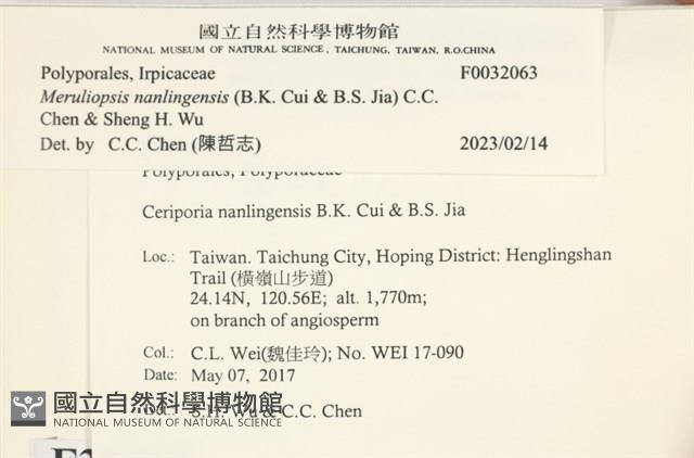 登錄號:F0032063藏品圖，第3張
