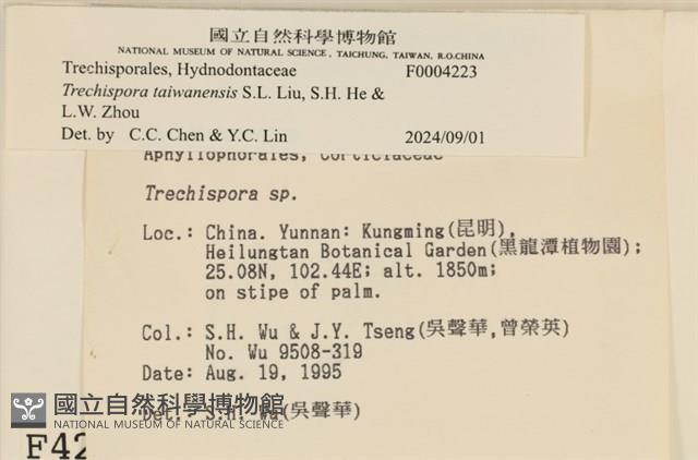 館號:F0004223藏品圖，第3張
