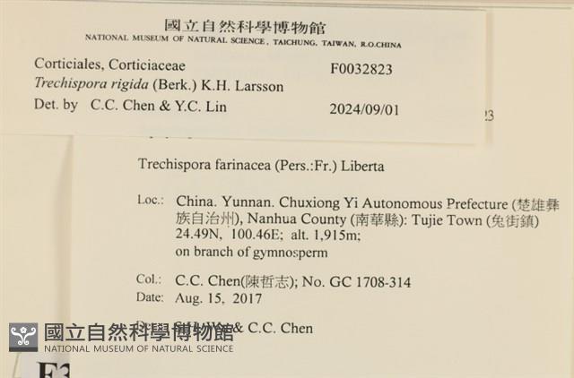 登錄號:F0032823藏品圖，第3張
