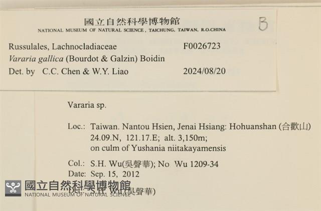 登錄號:F0026723藏品圖，第4張