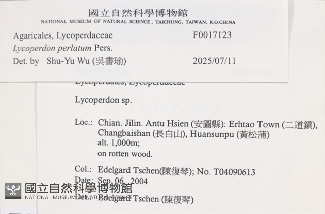 登錄號:F0017123藏品圖，第3張