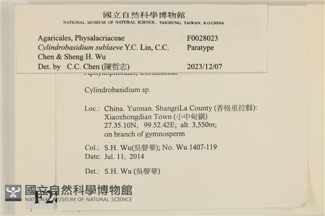 登錄號:F0028023藏品圖，第3張