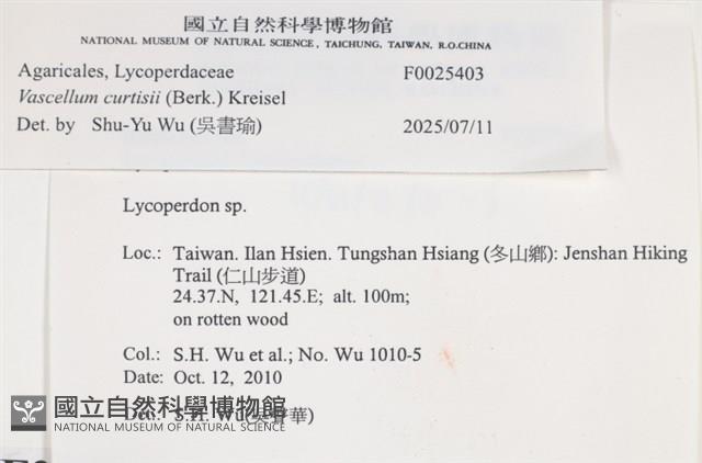 登錄號:F0025403藏品圖，第4張