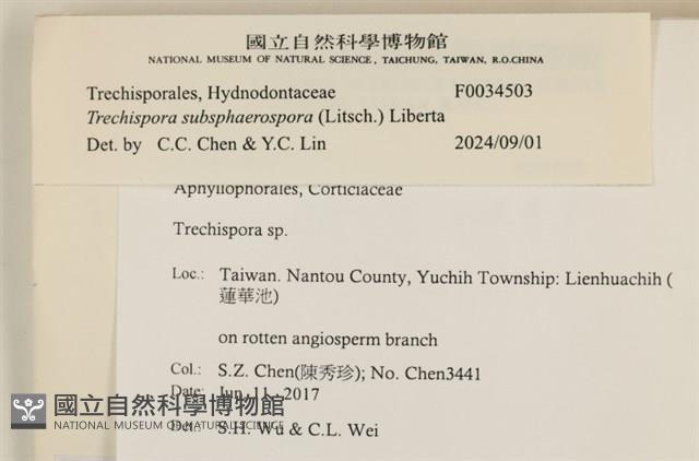登錄號:F0034503藏品圖，第3張
