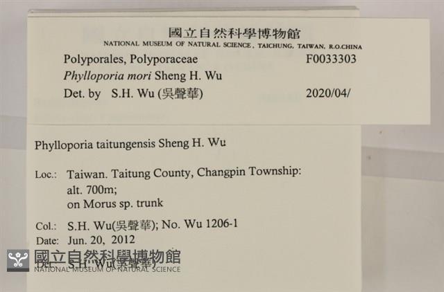 登錄號:F0033303藏品圖，第4張