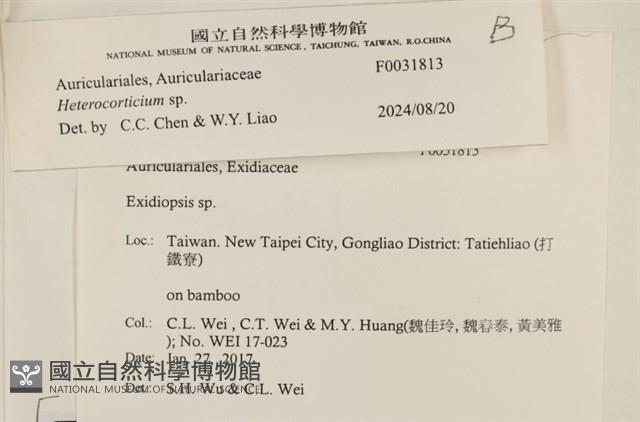登錄號:F0031813藏品圖，第3張