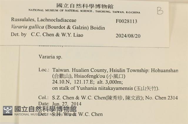 登錄號:F0028113藏品圖，第3張