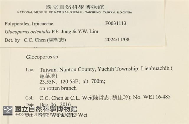 登錄號:F0031113藏品圖，第3張