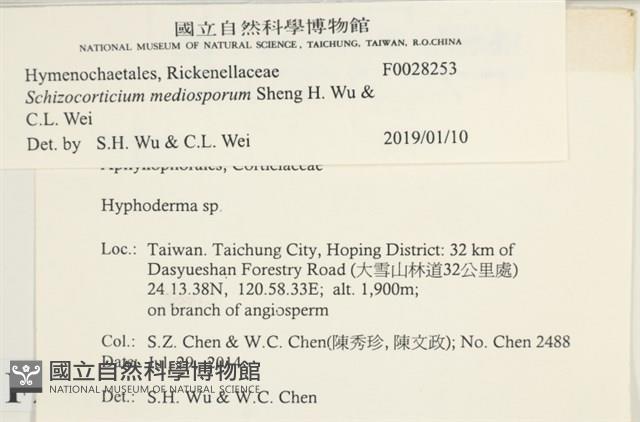 登錄號:F0028253藏品圖，第4張