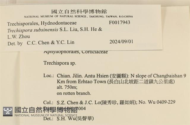 登錄號:F0017943藏品圖，第4張