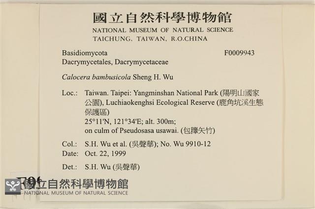 登錄號:F0009943藏品圖，第4張