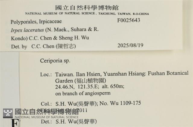 登錄號:F0025643藏品圖，第5張