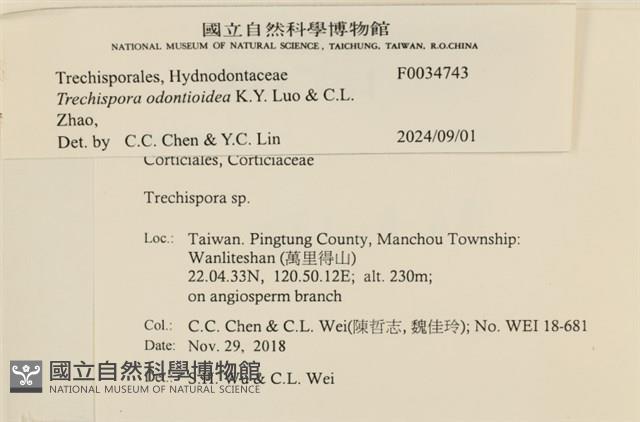登錄號:F0034743藏品圖，第3張