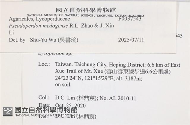 登錄號:F0037543藏品圖，第2張