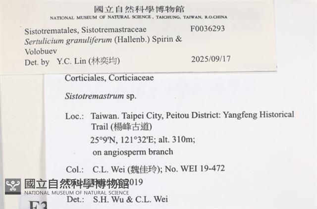 登錄號:F0036293藏品圖，第2張