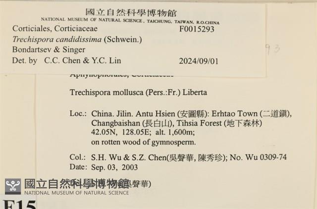 登錄號:F0015293藏品圖，第3張
