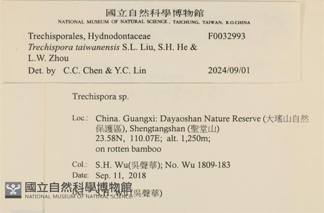 登錄號:F0032993藏品圖，第3張