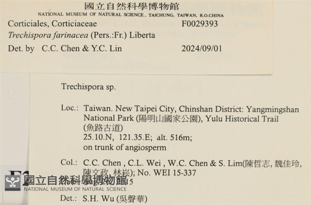 登錄號:F0029393藏品圖，第3張