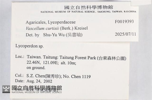 Accession Number:F0019393 Collection Image, Figure 2, Total 3 Figures