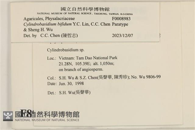 登錄號:F0008983藏品圖，第3張