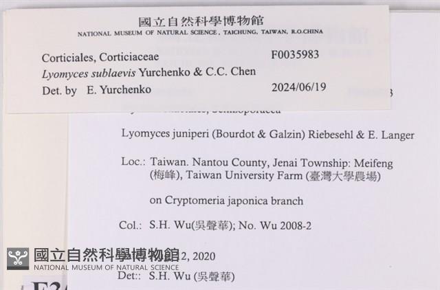 登錄號:F0035983藏品圖，第2張