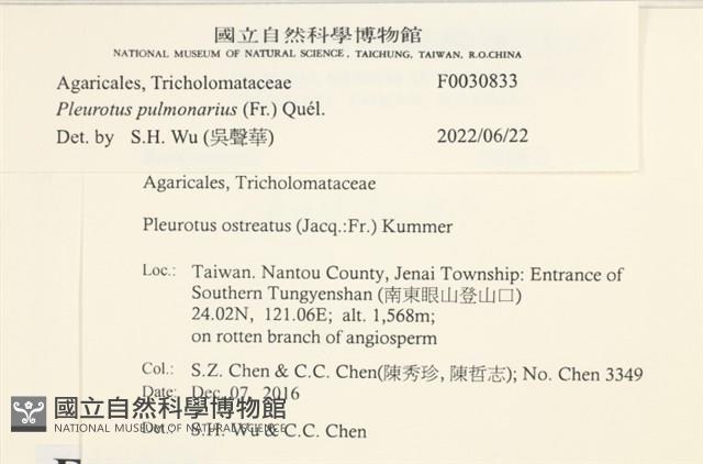 登錄號:F0030833藏品圖，第3張